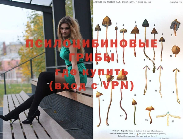 МДМА Нея
